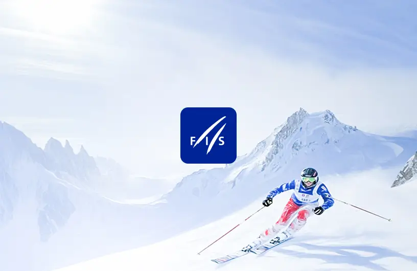  FIS / UI Product design